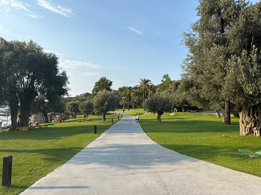 博德鲁姆里克萨斯高级酒店主图