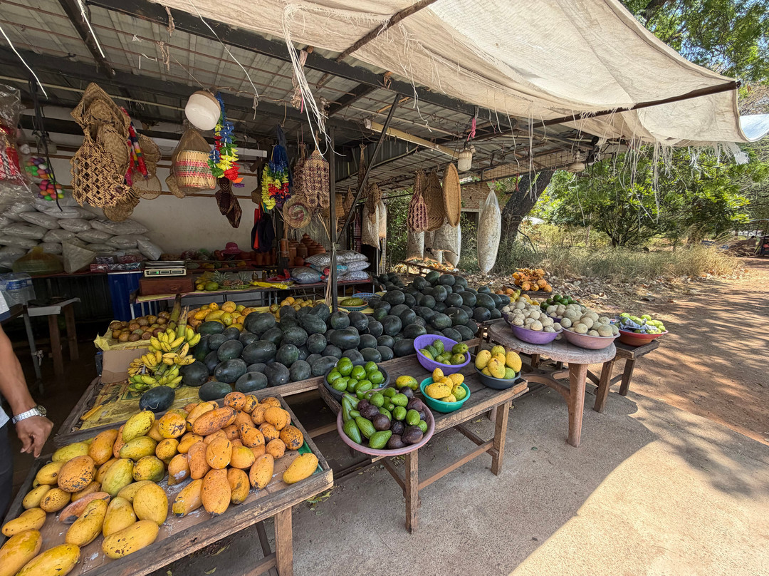 Ceylon Safari Holiday-Ratmalana必去景点