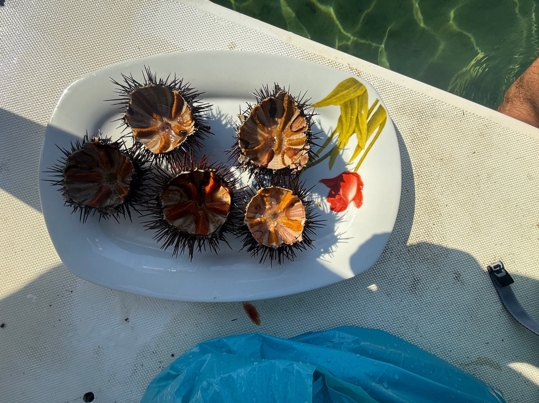 Lemnos Fishing Trips-Myrina必去景点