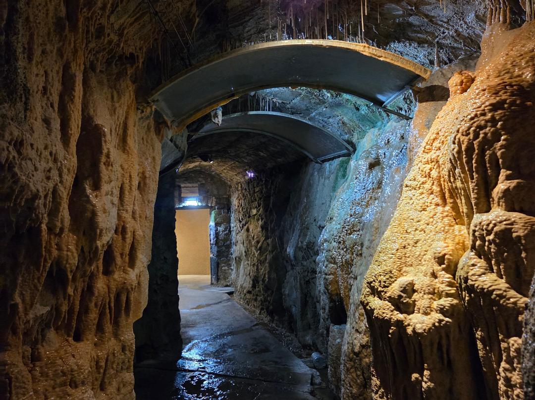Fontaines Petrifiantes de Saint-Nectaire-Saint-Nectaire必去景点
