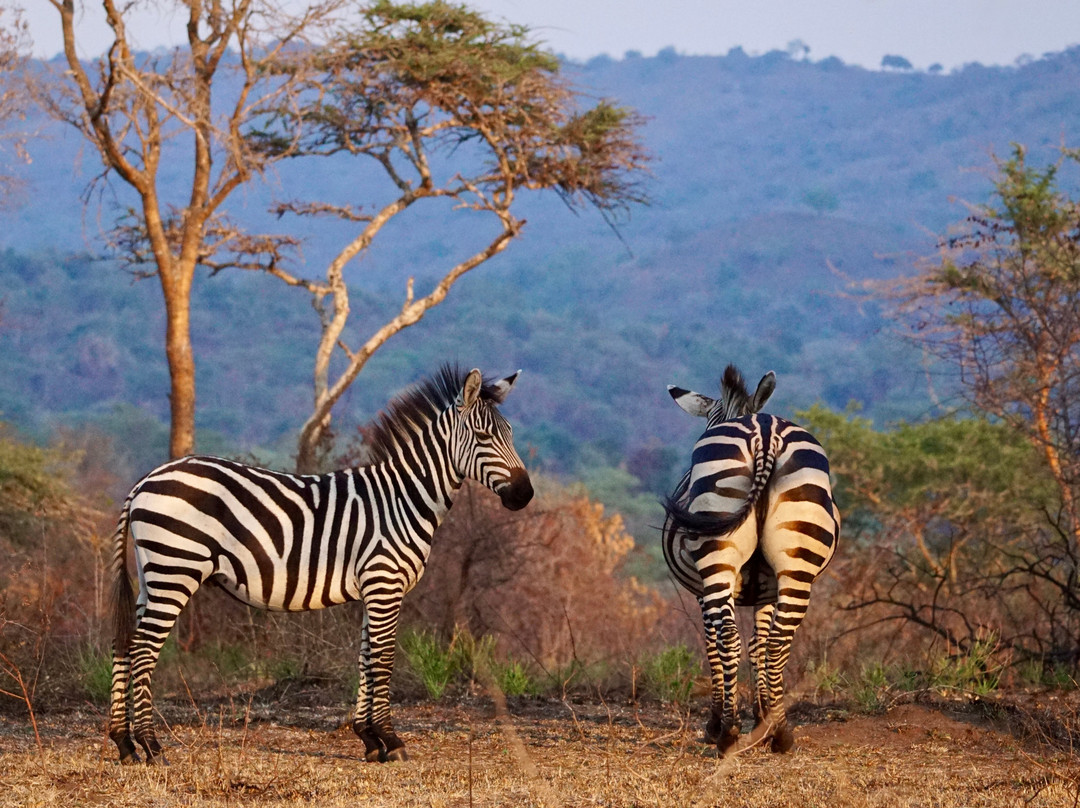 Irembo Africa Safaris Ltd-坎帕拉必去景点