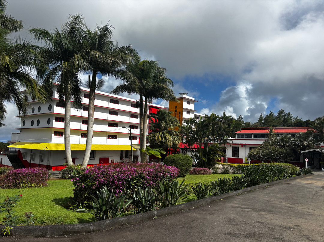 Bois Cheri Tea Factory and Tea Museum-Bois Cheri必去景点