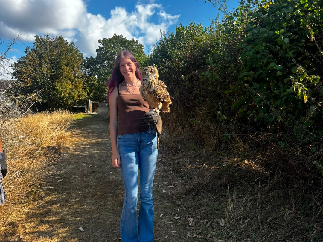 The British Bird of Prey Centre-喀麦登必去景点