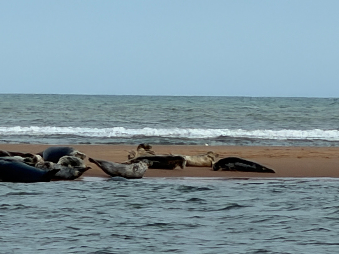 Newburgh Seals Beach-Newburgh必去景点
