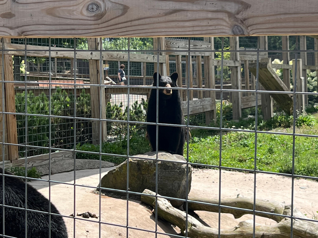 Animal Adventure Park-Harpursville必去景点