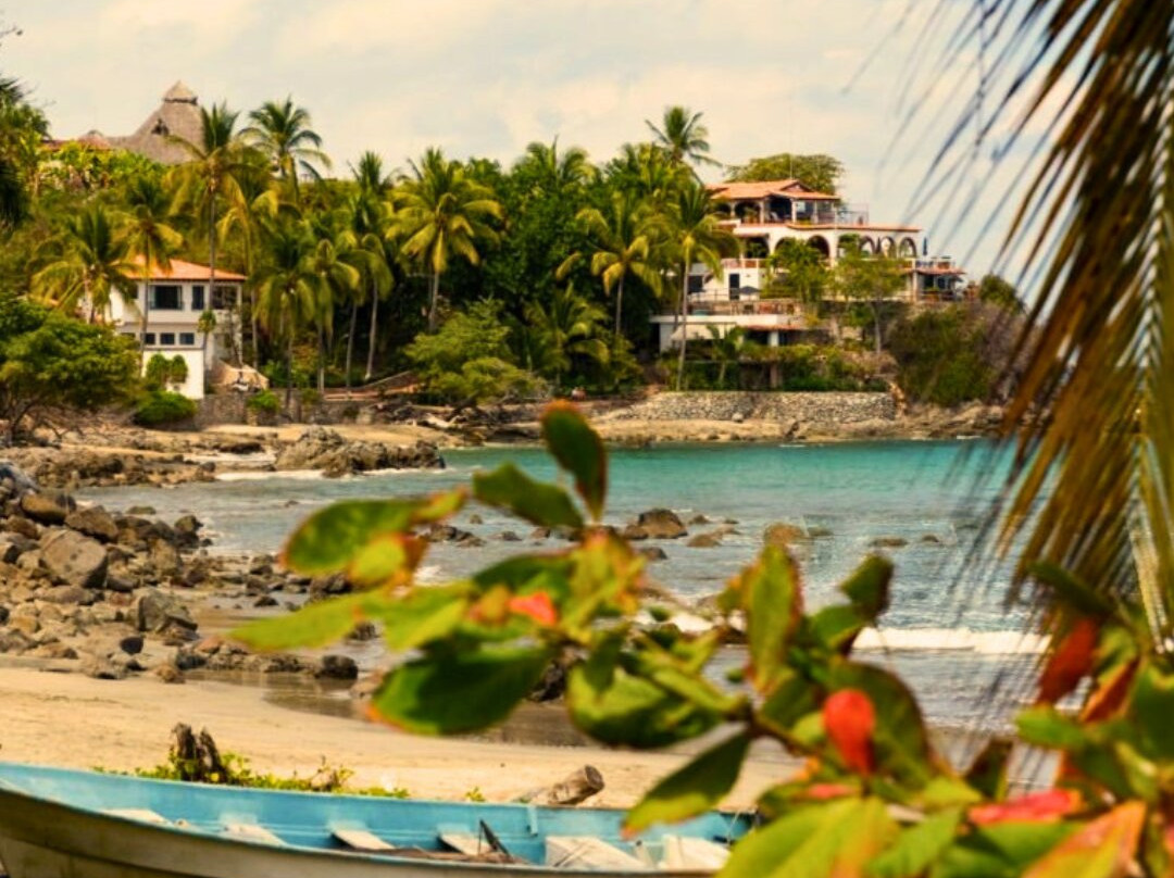 Nativva Sayulita