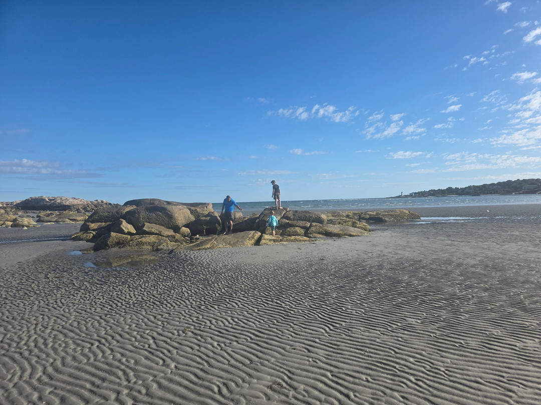 Wingaersheek Beach-格洛斯特必去景点