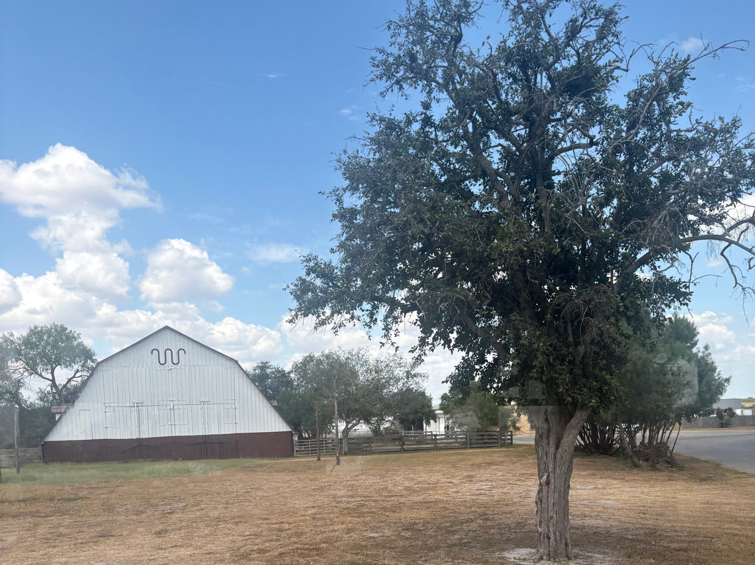 King Ranch Visitor Center-Kingsville必去景点