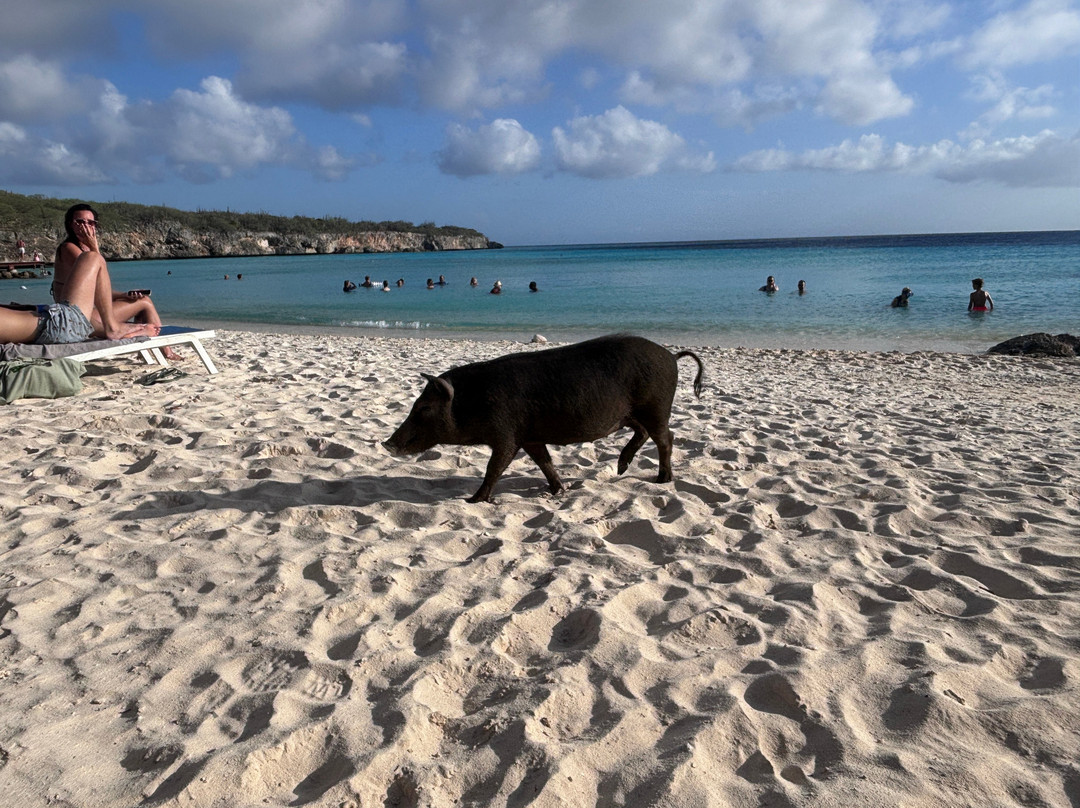 Playa Porto Marie-Sint Willibrordus必去景点