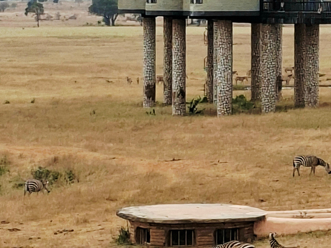 Top Africa Safaris-迪亚尼必去景点