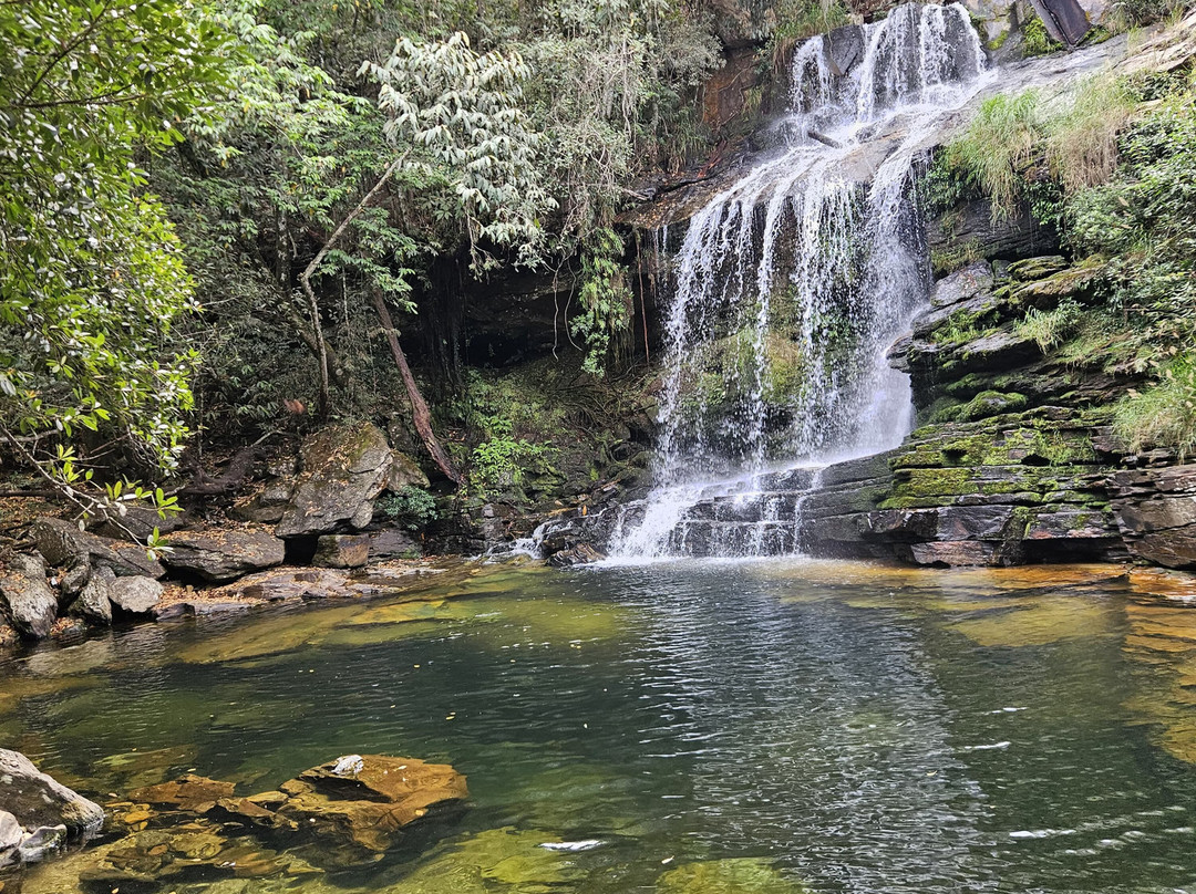 Cachoeiras Complexo Claro-Delfinopolis必去景点