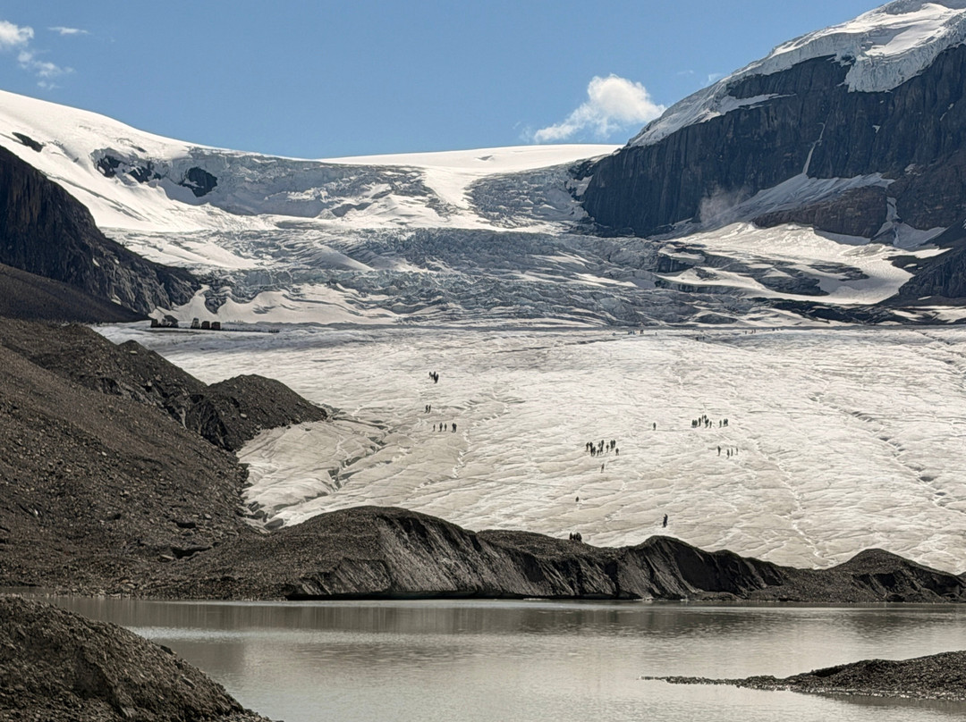 Athabasca Glacier-贾斯珀国家公园必去景点