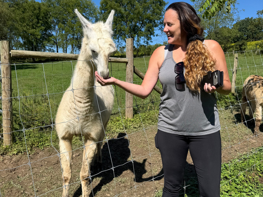 The Crafty Alpaca Farm And Store-Avella必去景点