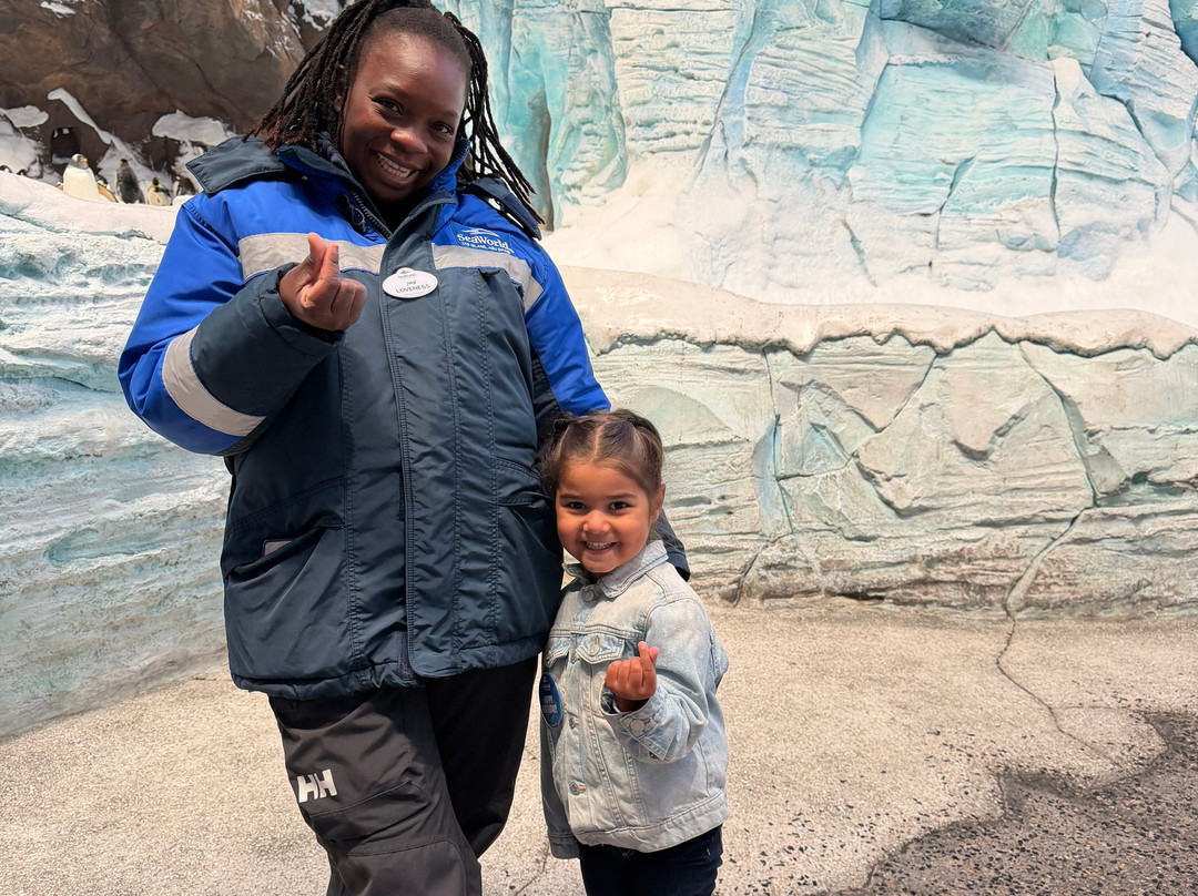 SeaWorld Yas Island Abu Dhabi-阿布扎比必去景点