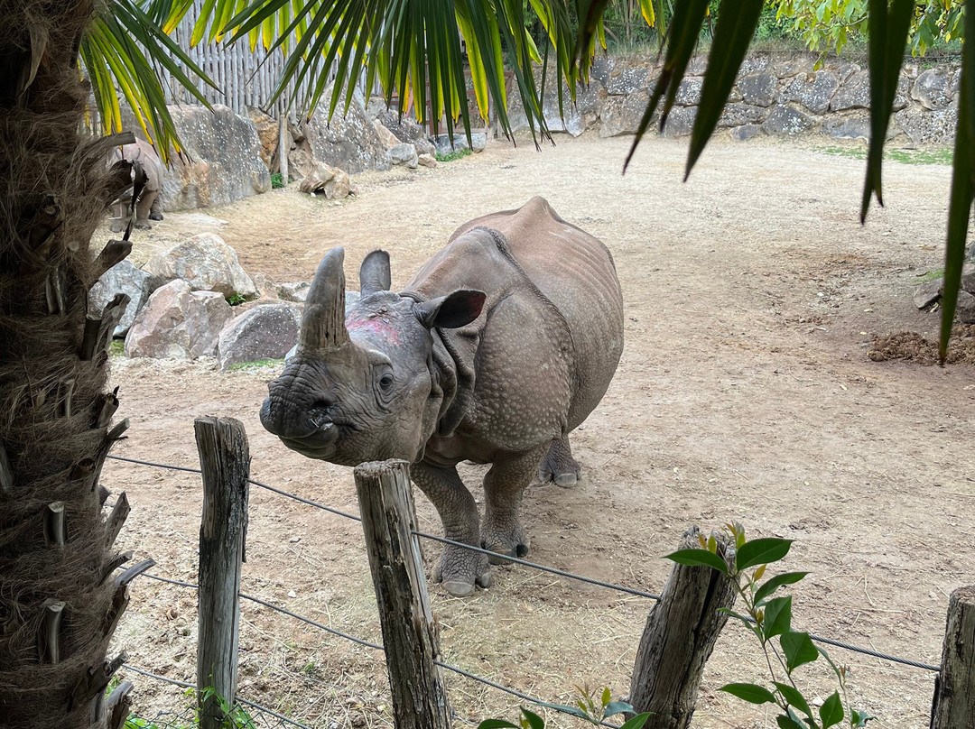ZooParc de Beauval-圣艾尼昂必去景点