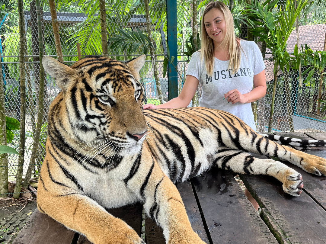 Tiger PARK Phuket-查龙必去景点