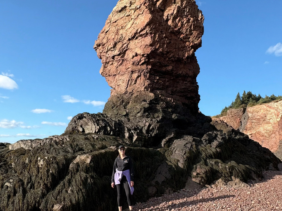 Novashores Adventures-Advocate Harbour必去景点