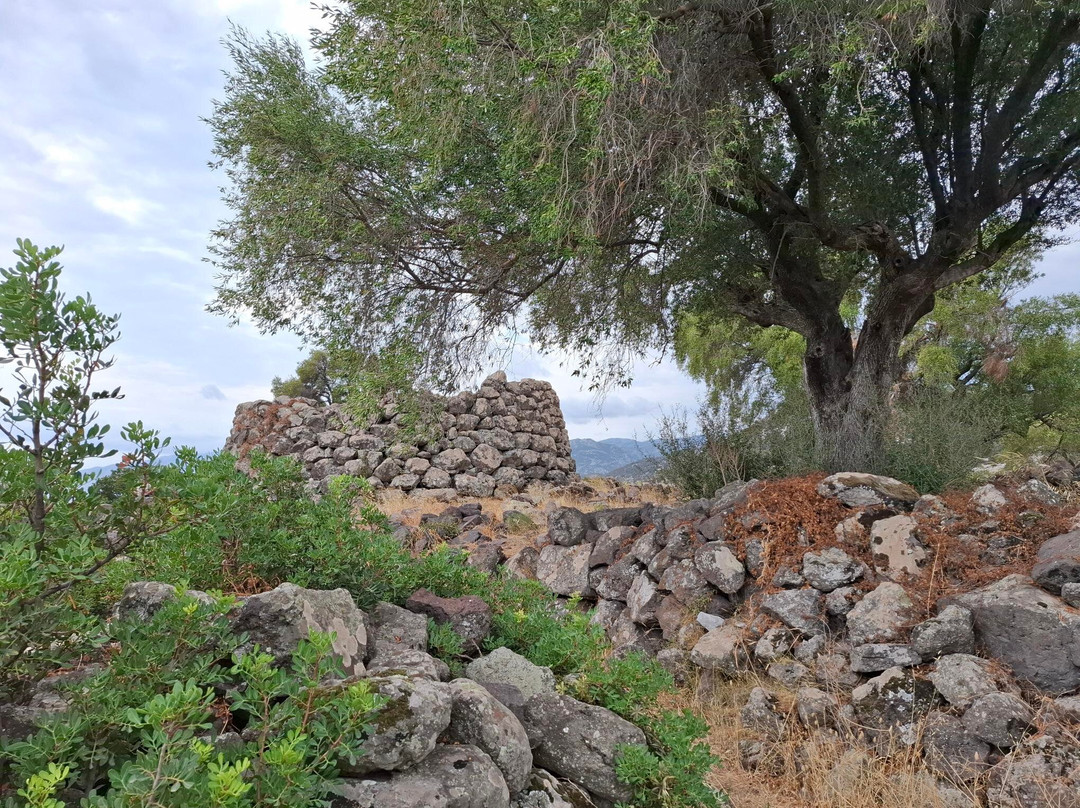 Complesso Nuragico Di Nuraghe Mannu-Cala Gonone必去景点