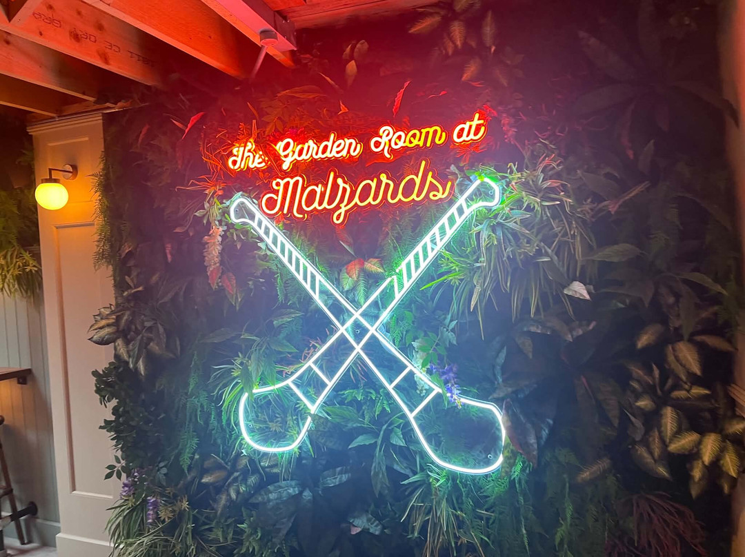 Malzards Pub-Stoneyford必去景点