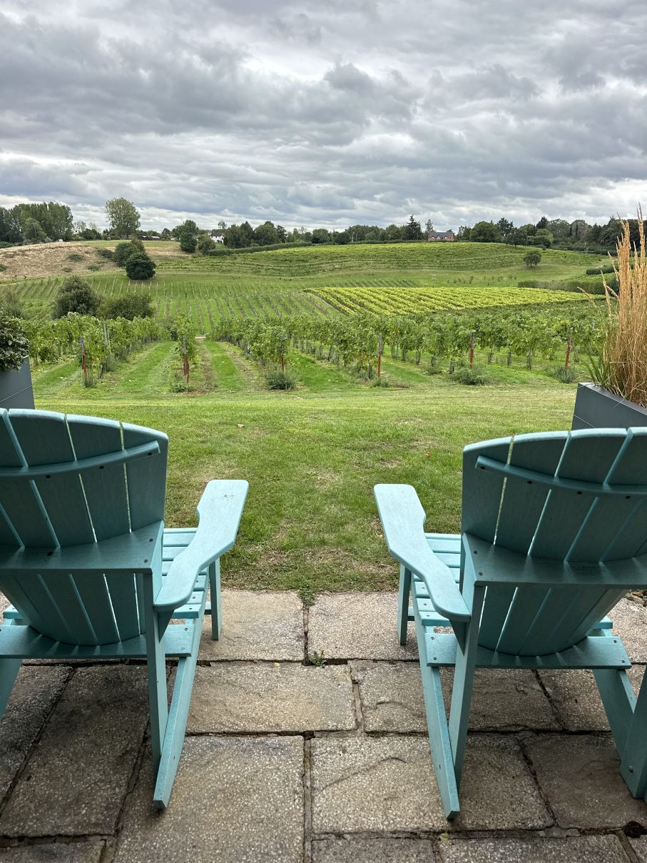 Three Choirs Vineyards-旅行者