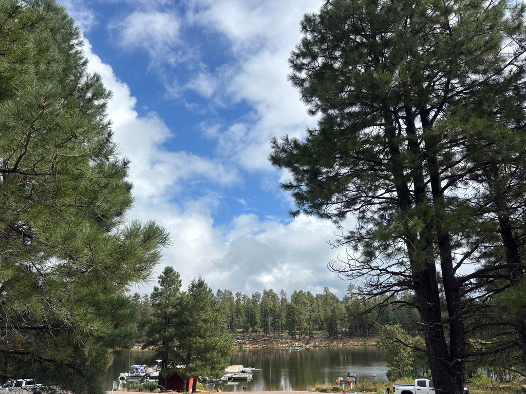 Woods Canyon Lake-Forest Lakes必去景点