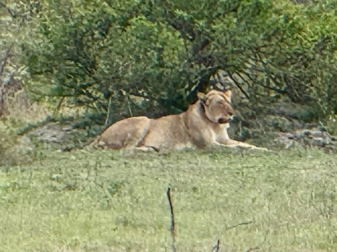 Lihlosi Safari and Touring-马里兰必去景点