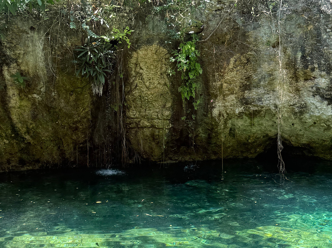Cenote Maya Muyil-图伦必去景点