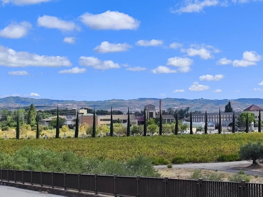 Bodegas Marco Real-Olite必去景点