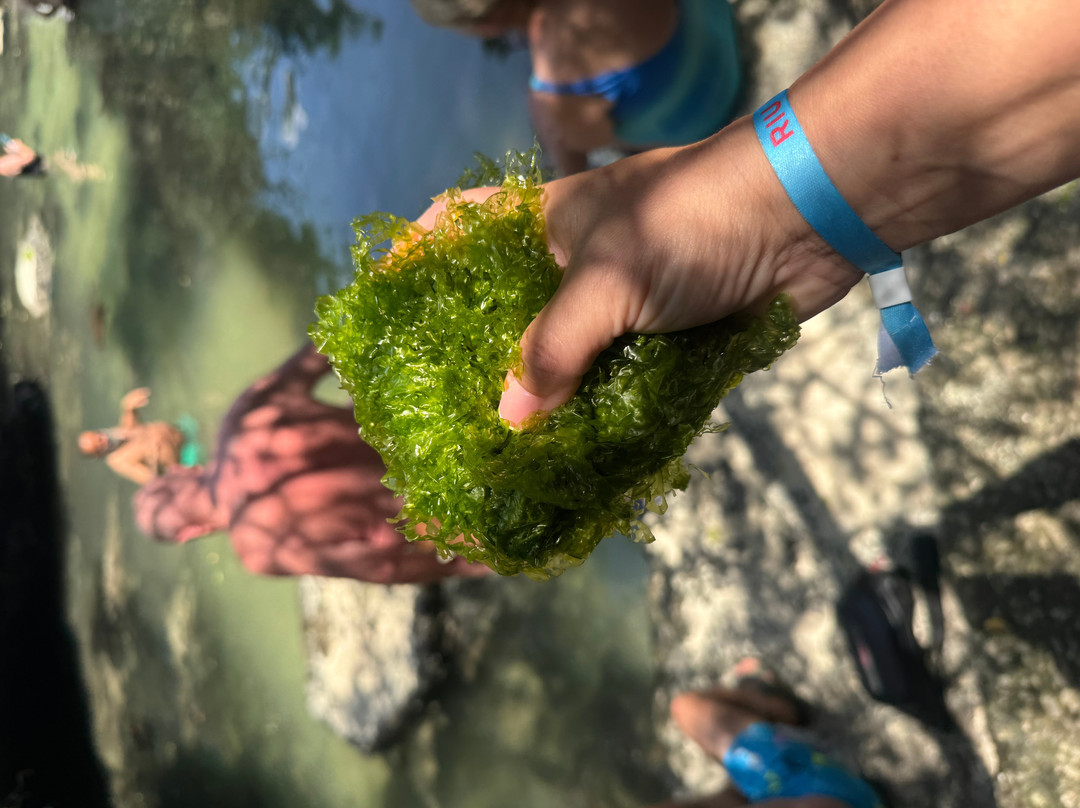 Baraka Natural Aquarium - Nungwi-孥归必去景点