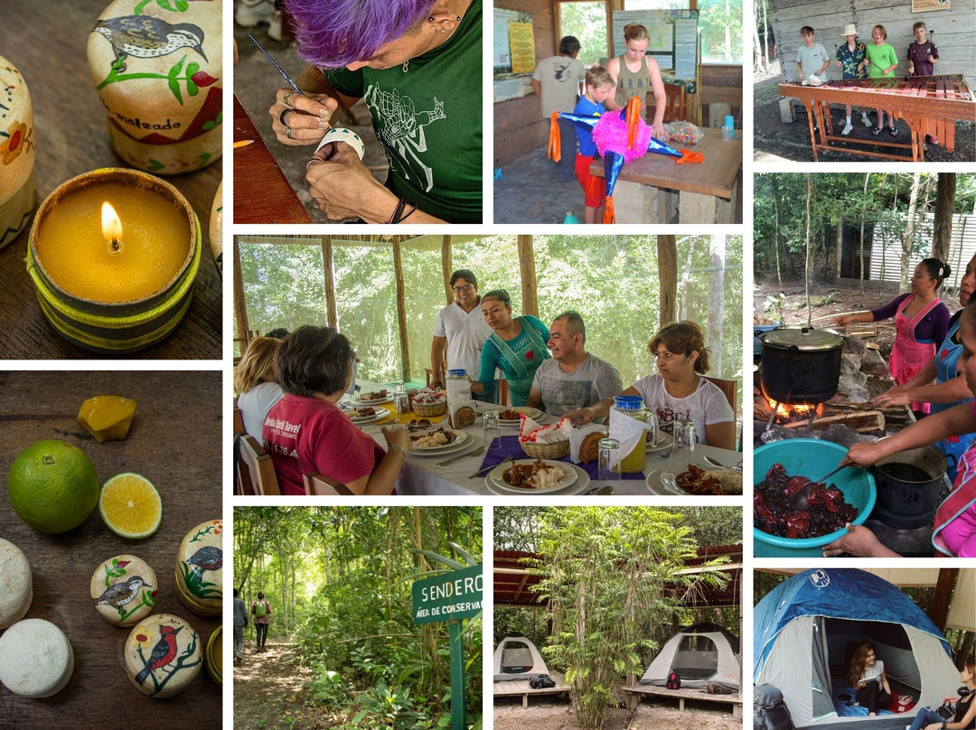 Visit Calakmul-Xpujil Town必去景点