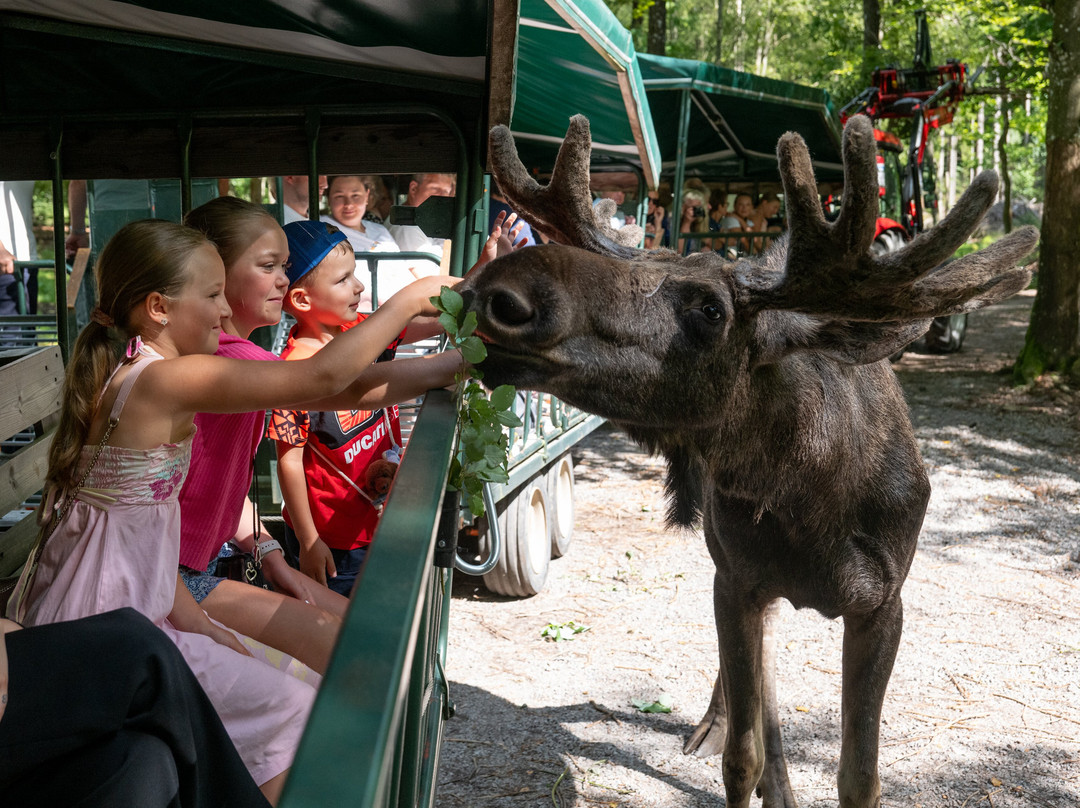 Soderasens Algpark (moosepark)-Kagerod必去景点