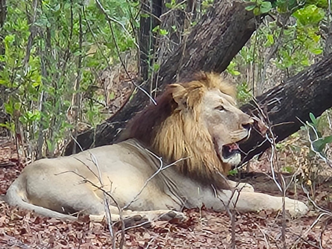 马拉维旅游景点-Liwonde National Park