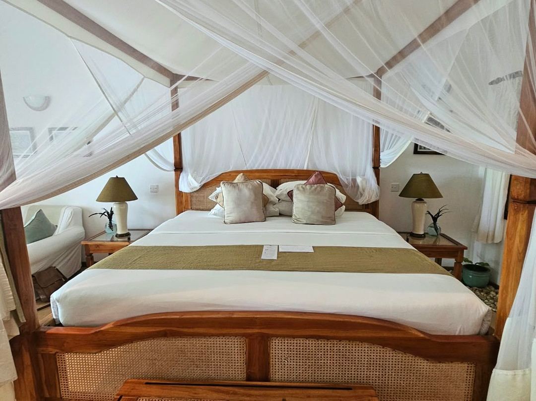 Ocean Village Club (Adults Only)主图