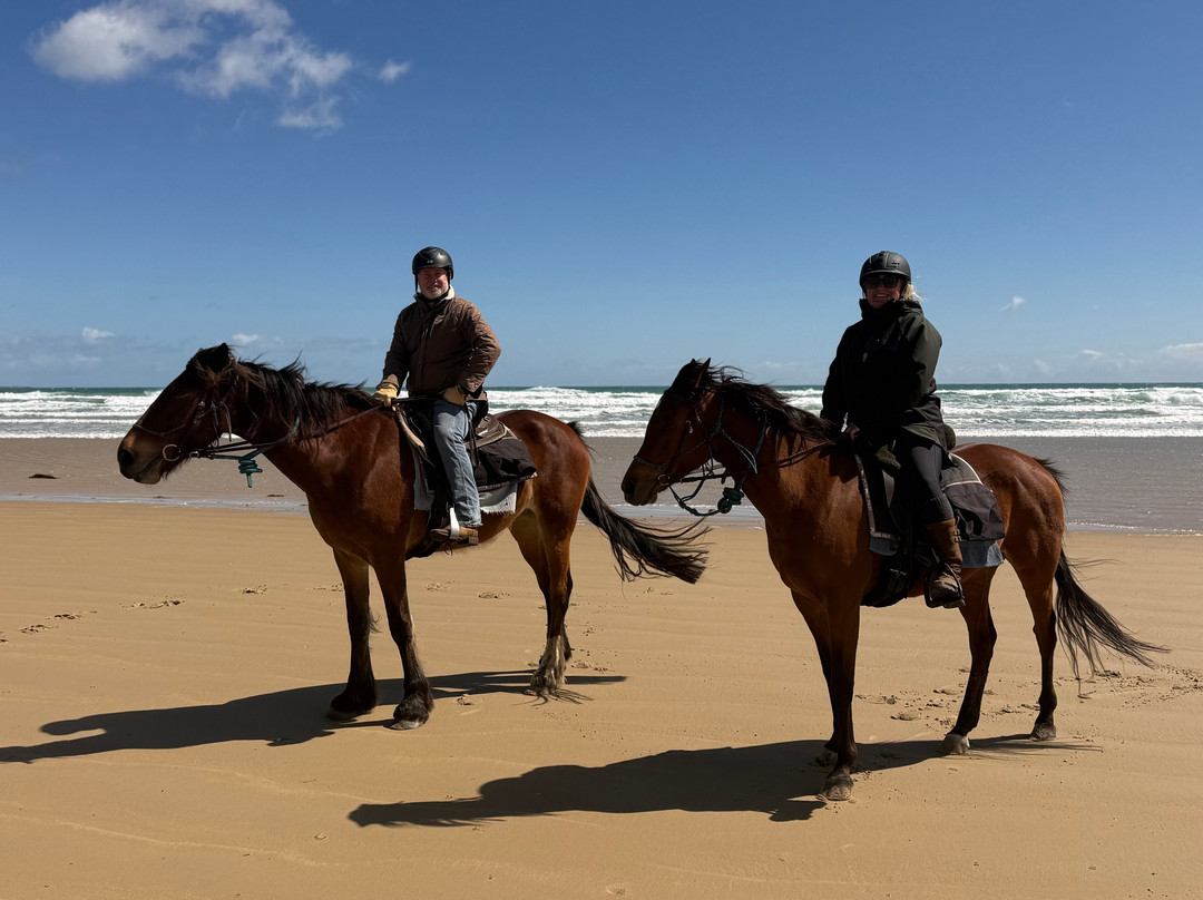 Cradle Country Adventures-摇篮山圣克莱尔湖国家公园必去景点