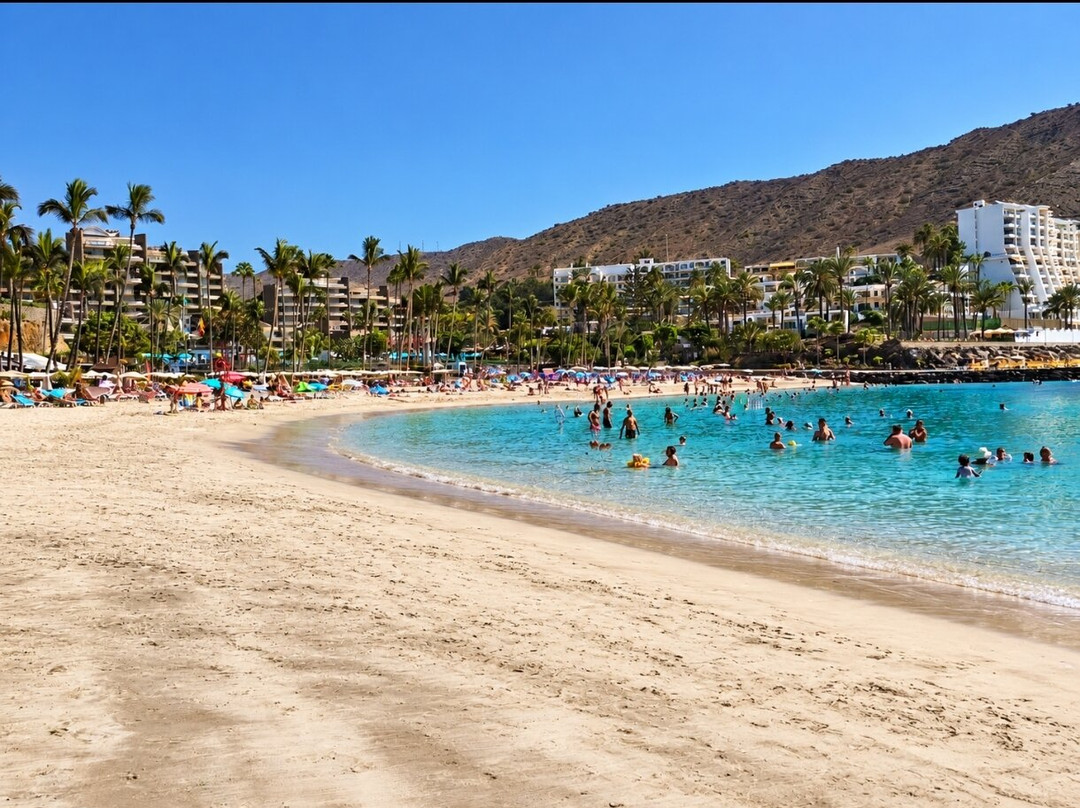 Playa Anfi del Mar-Barranco de la Verga必去景点