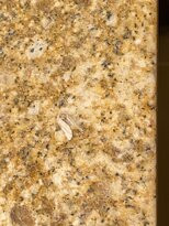 Comfort Inn PA Turnpike - I-81主图