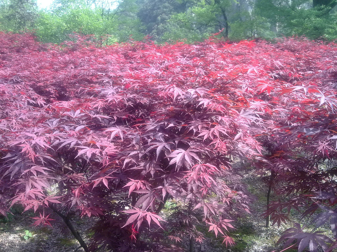 余姚市旅游景点-丹山赤水