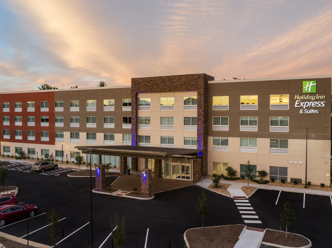 Holiday Inn Express & Suites Roanoke - Civic Center by IHG主图
