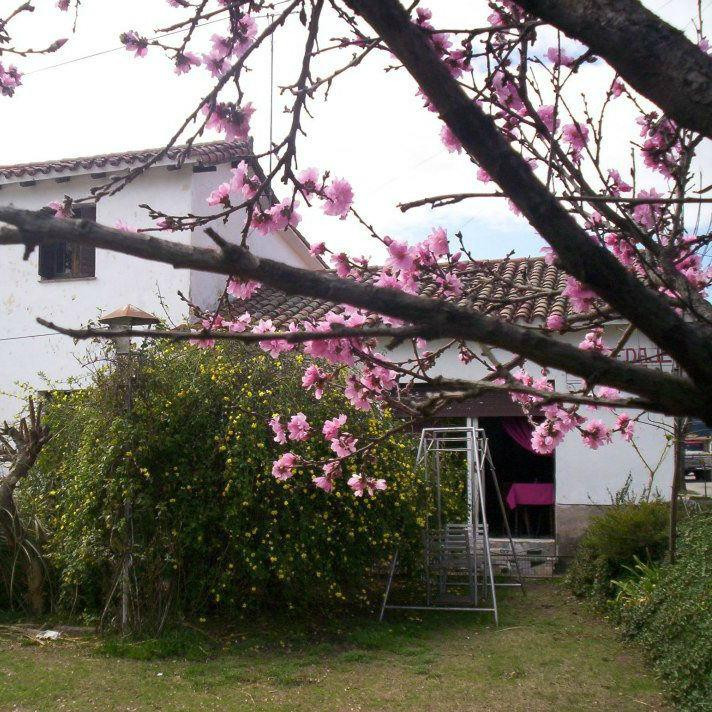 Villa Giardino旅游攻略图片