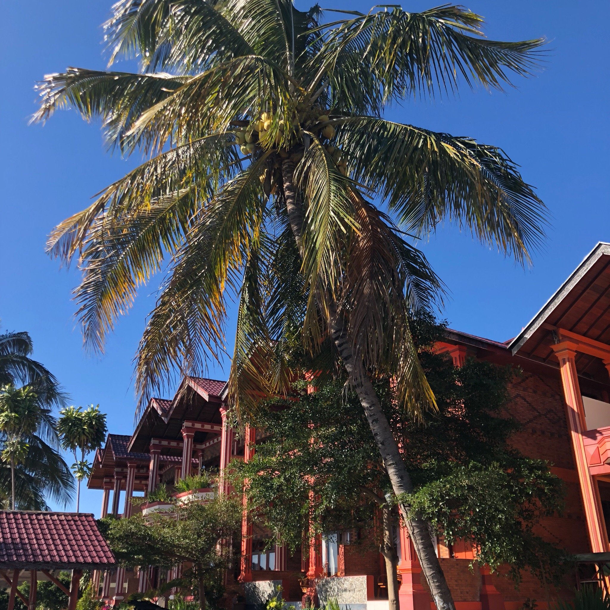 Judita Cottage-官方