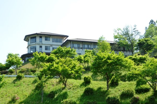 绿色温泉杜鹃-官方