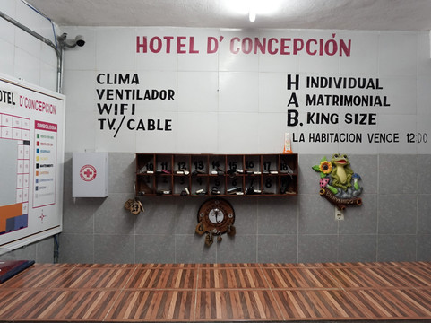 Hotel D'Concepcion