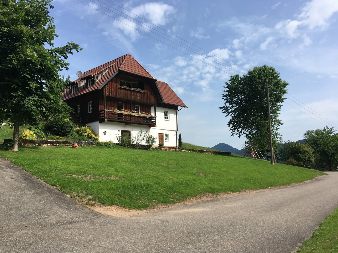 Gutach im Schwarzwald酒店住宿-Blumbauernhof