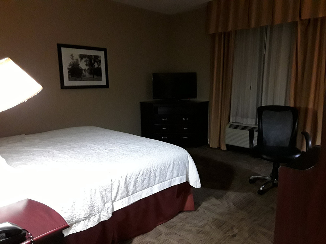 德纳姆斯普林斯希尔顿恒庭酒店主图