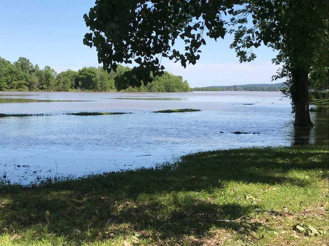 Maumelle Park景点图片