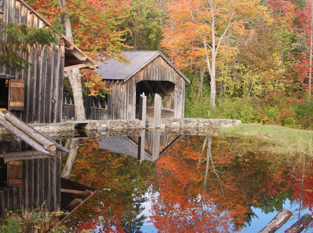 Maine Forest and Logging Museum景点图片