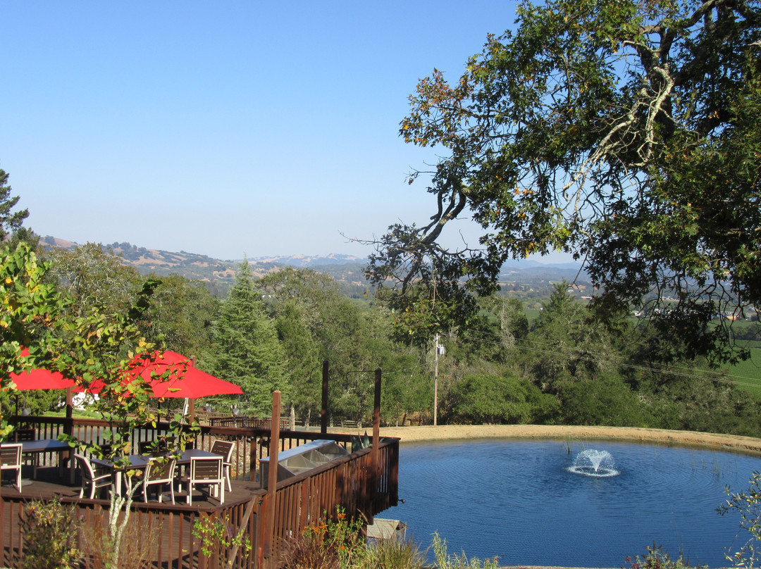 Overshine Wine Co.-希尔兹堡必去景点