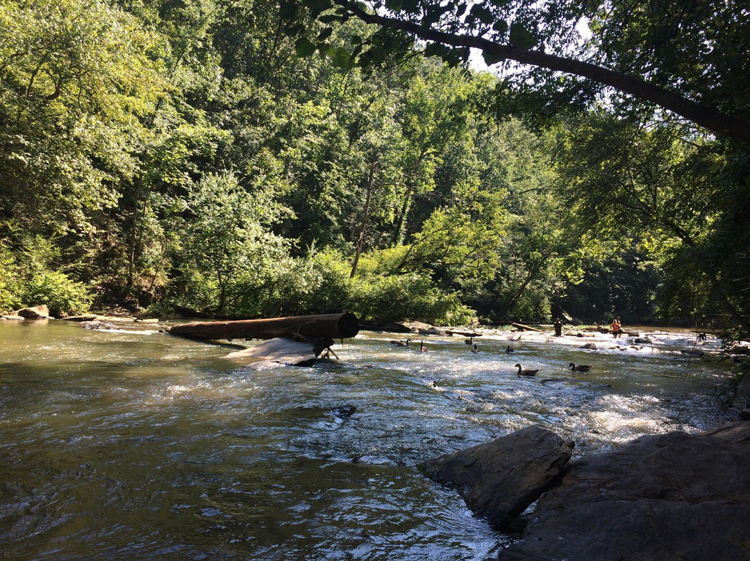 Old Mill Park景点图片