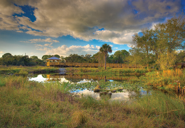 Conservancy of Southwest Florida景点图片