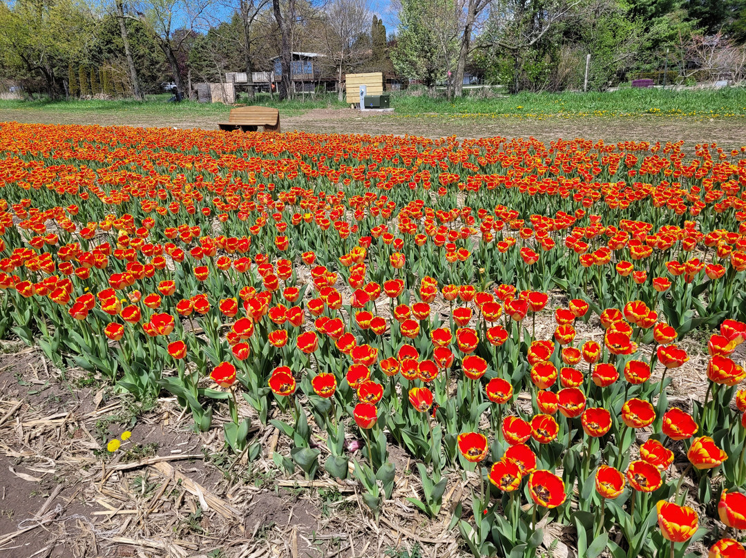 Richardson Adventure Farm-Spring Grove必去景点
